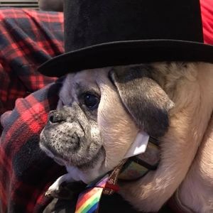 Meet your Posher, Wendy